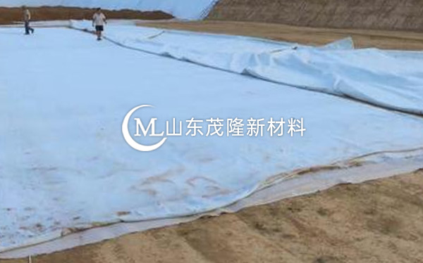 《现西咸新区高尔夫》土工布、复合土工布施工