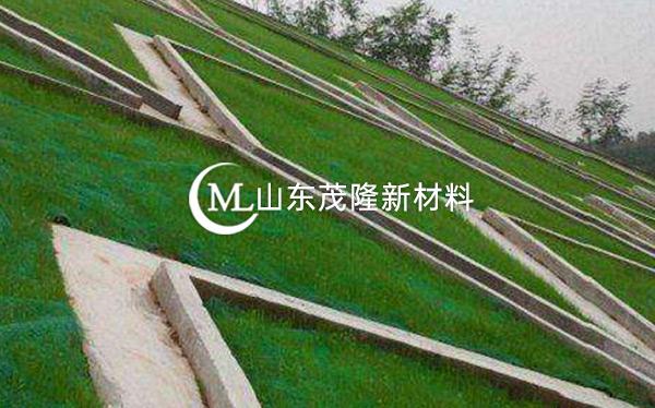 《都匀至安顺公路项目》土工格栅、三维植被网施工