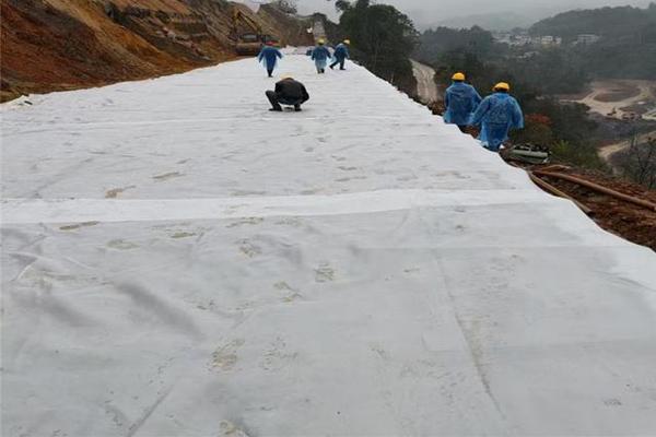 如何选择可靠的土工布厂家？  第3张