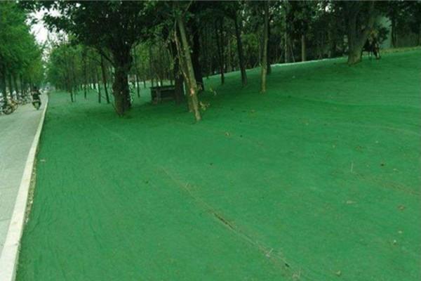 碎石在绿化土工布下面铺设的作用是什么？  第3张