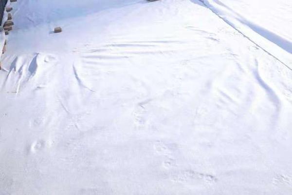 揭秘土工布：它到底有毒吗？  第1张