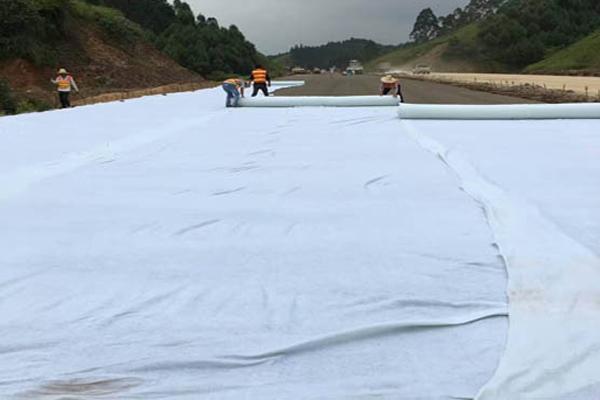 土工布在果园种植中的重要作用是什么？  第1张