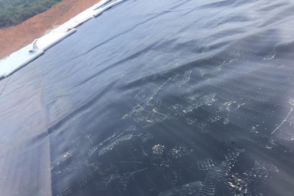 土工膜和土工布的区别有哪些呢？  第1张