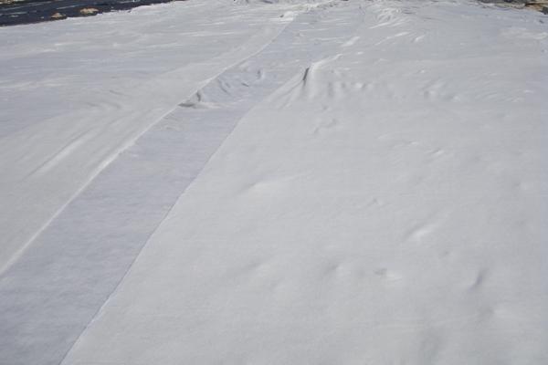 土工布容易烂吗  第1张