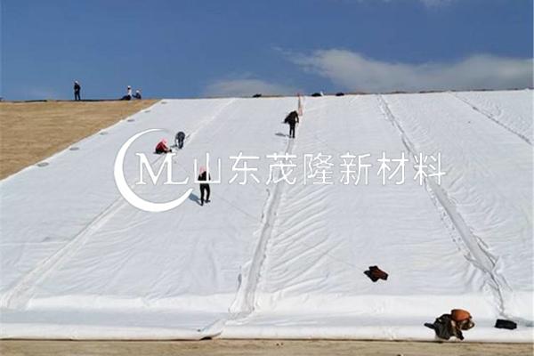 《引江济淮工程（安徽段）引江济巢段菜巢线施工C001 标工程项目》土工布施工