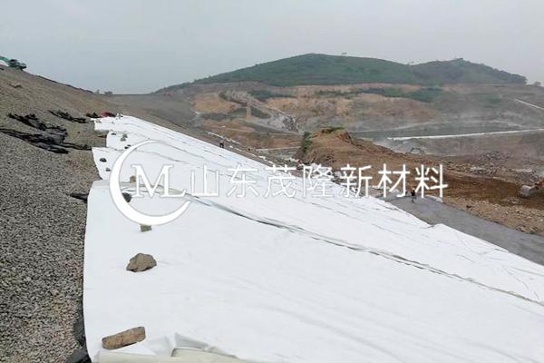 《松花江一级支流英格吐河上游生态?；ば薷垂こ獭吠凉げ际┕?></a>
    <hgroup class=