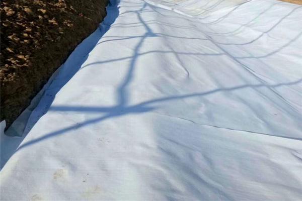 土工布可以重复使用吗？  第2张